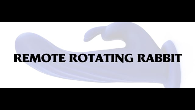 Evolved Novelties Remote Rotating Rabbit Vibe - Rolik®