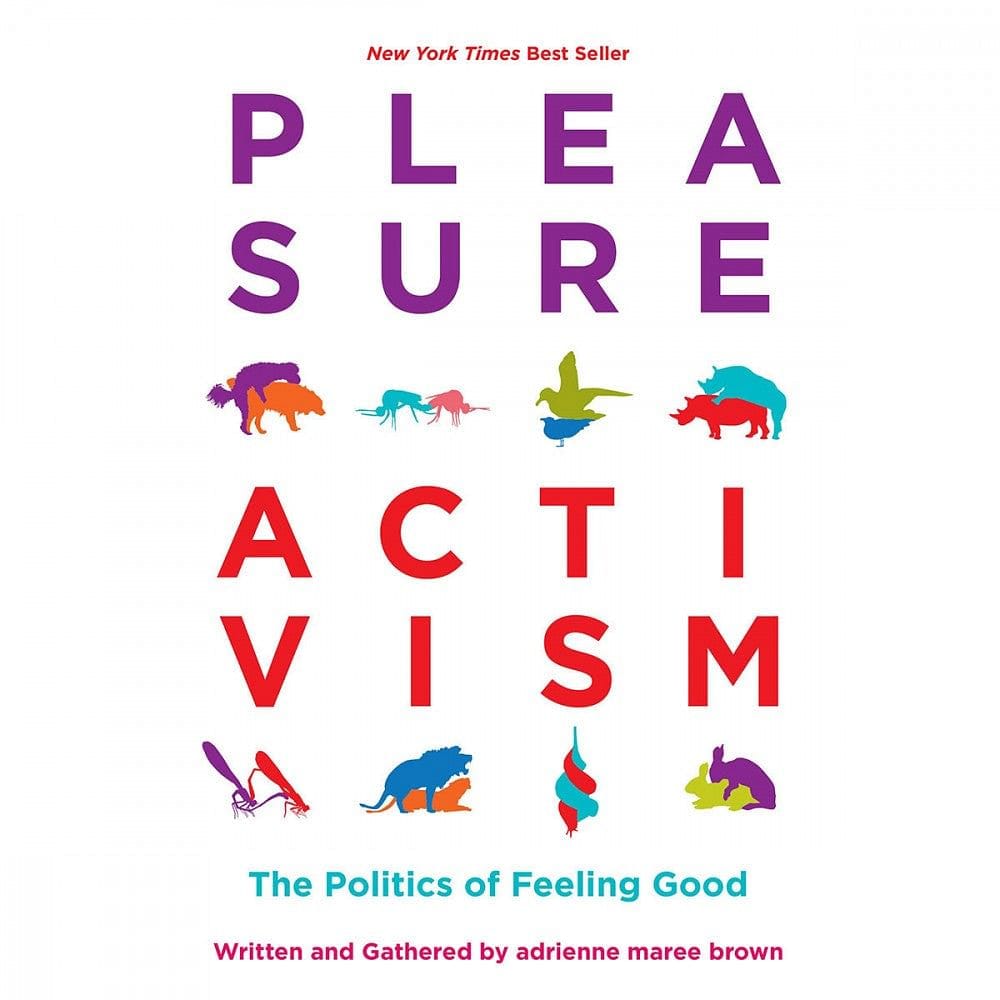 Pleasure Activism: The Politics of Feeling Good - Rolik®