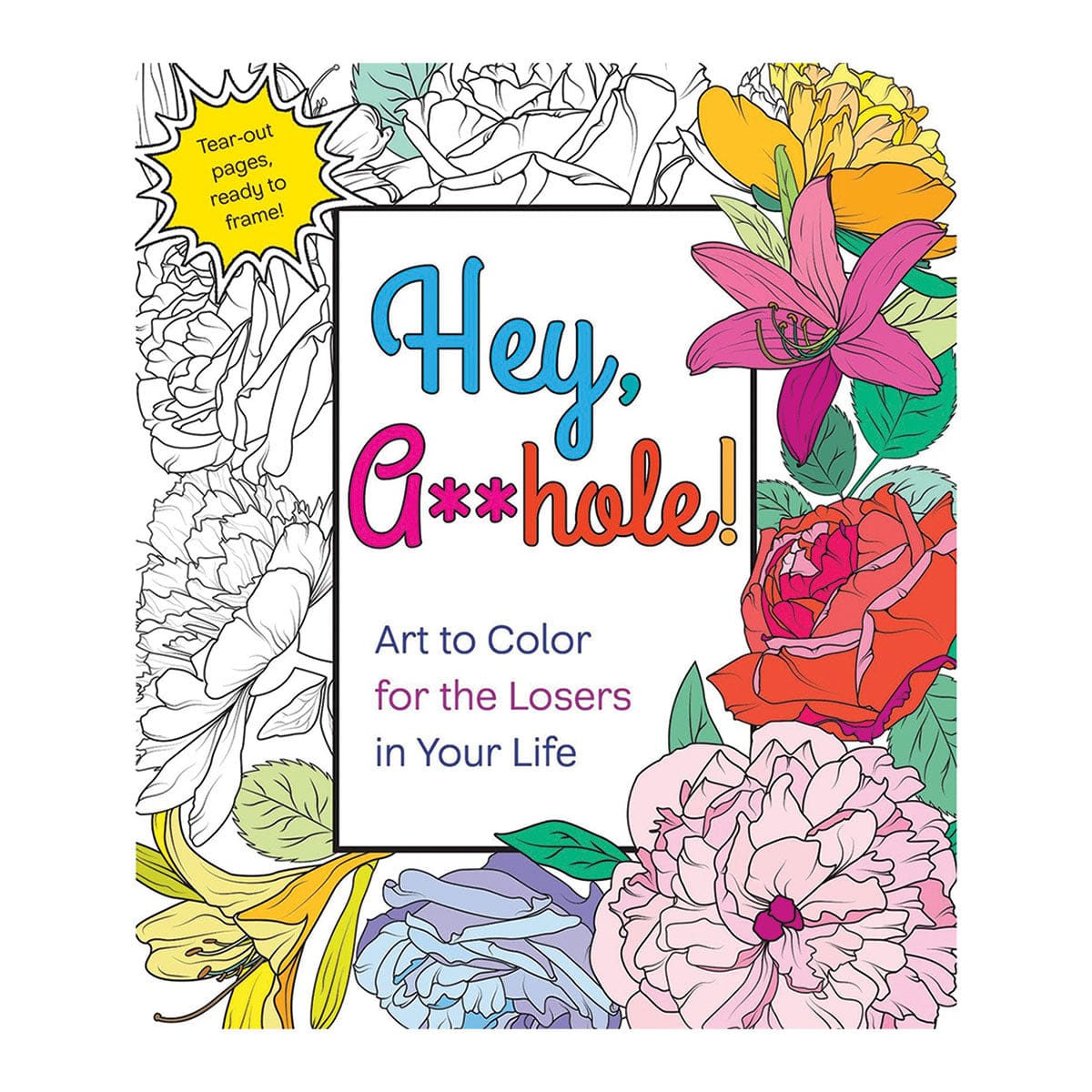 Hey A**hole Coloring Book by St. Martin's Griffin - rolik