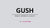 Lovense Gush Bluetooth® Handsfree Masturbator - Rolik®