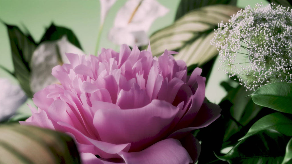 Womanizer Premium eco Pleasure Air Stimulator - Rolik®