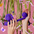 Snail Vibe Purple - Rolik®