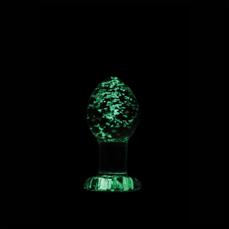 Firefly Clear Glass Glow In the Dark Plugs by NS Novelties - rolik