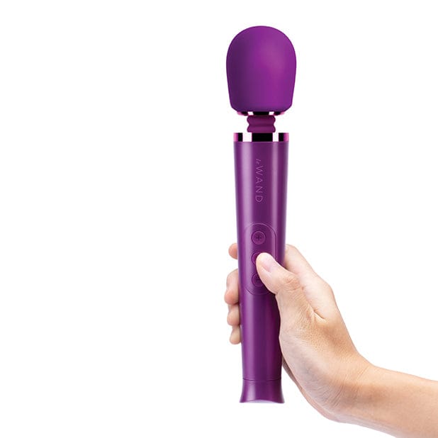 Le Wand Petite Wand Rechargeable Vibrator - Rolik®